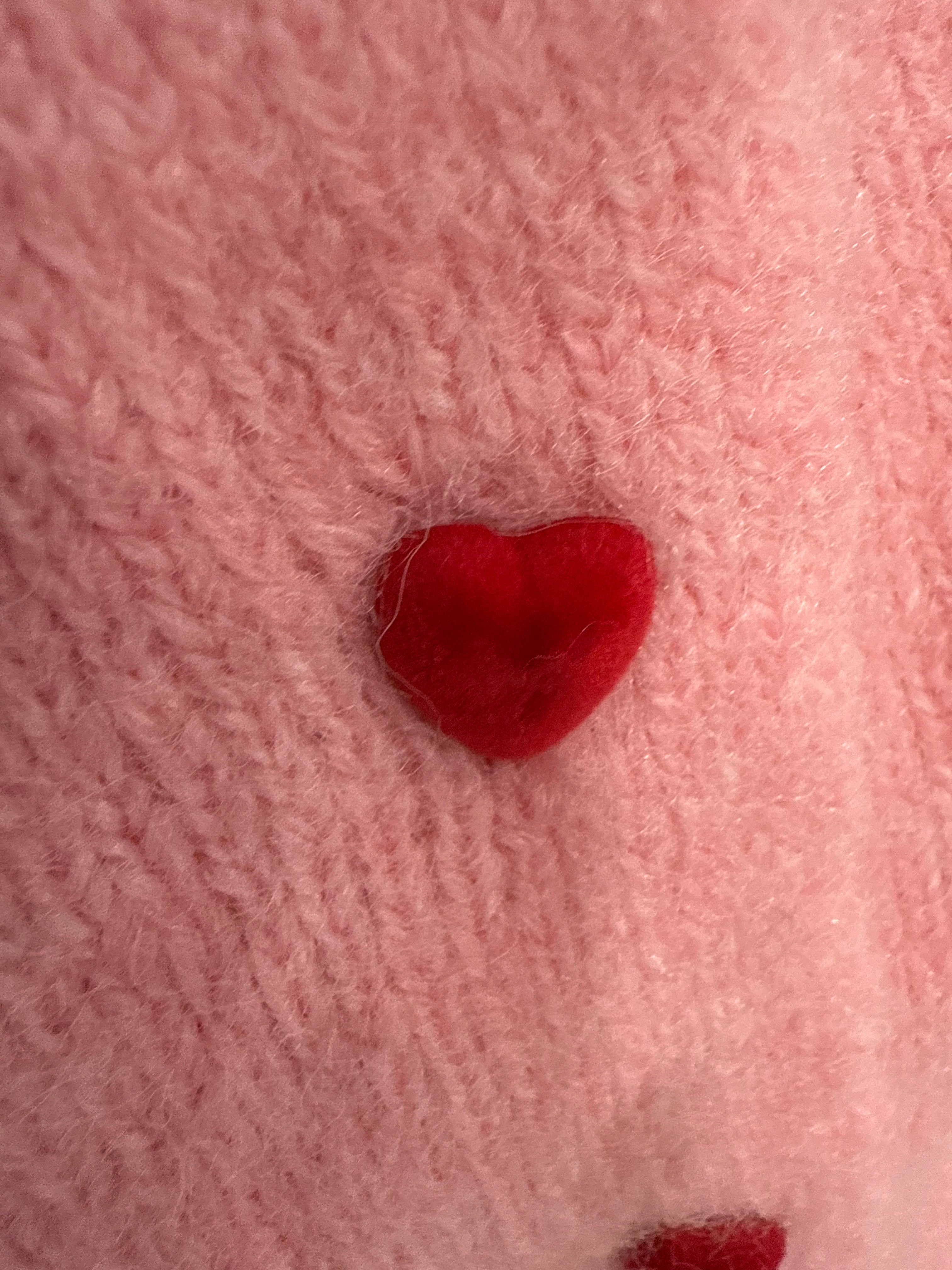 Cardigan Heart